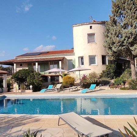 Lorgues, La Tourelle, Immense Piscine, Plongeoir, Vue, Au Grand Calme Villa Eksteriør billede